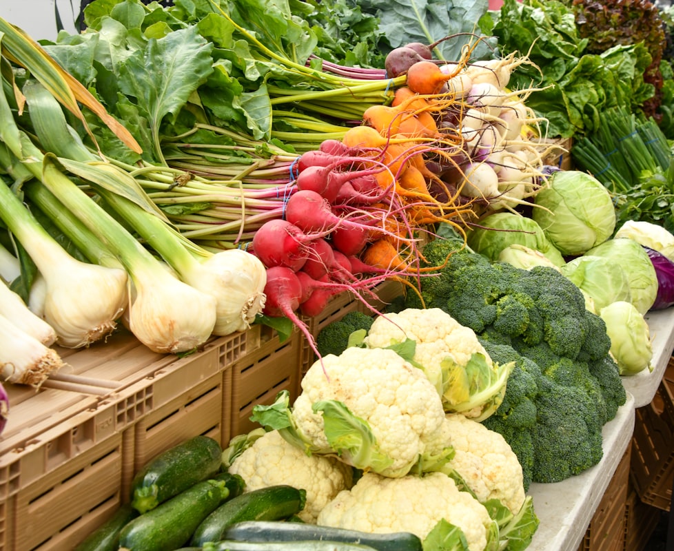 Ernährungsberatung und Stoffwechsel